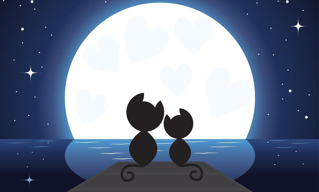 宁夏宁夏潮客汇微信活动策划案例